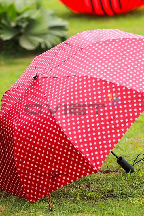 Double-fold umbrella