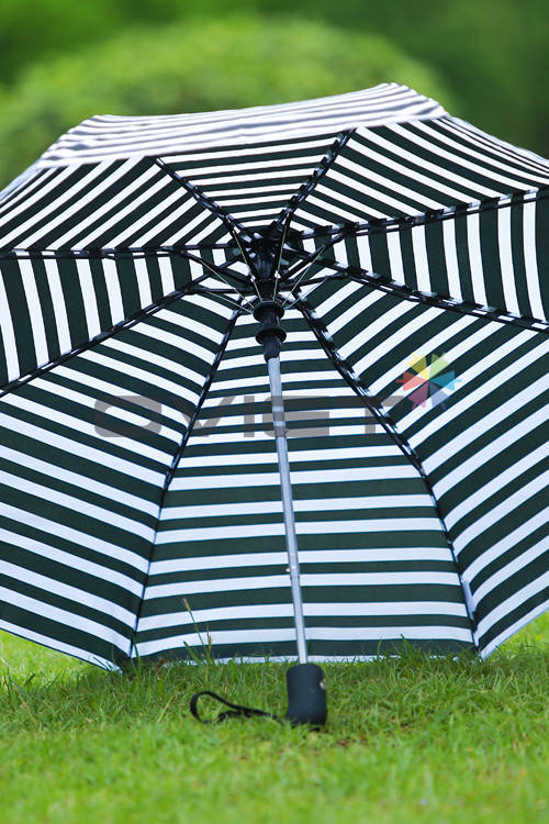 Double-fold umbrella
