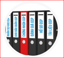 GMP Consulting services