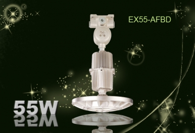 LumiDas Explosion Proof LED light 55W