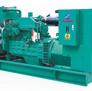 Cummins generator