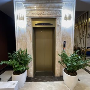 Fuji elevator