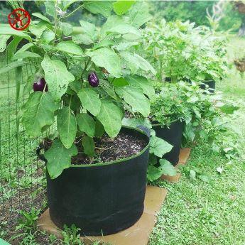 Fabric grow bag