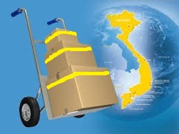 Le Hoang Quan Services