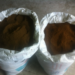 Blood meal