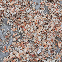 Crab shell meal