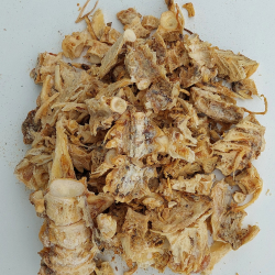 Fish bone