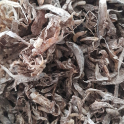Dried shrimp