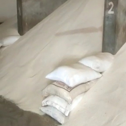 Beef bone meal
