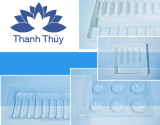 Thanh Thuy plastic packaging