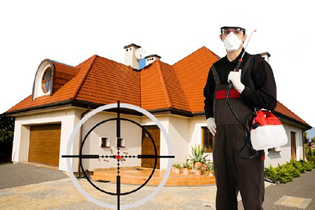 Pest control service