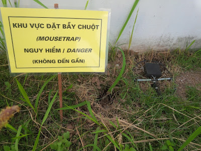 Rodent control for factories