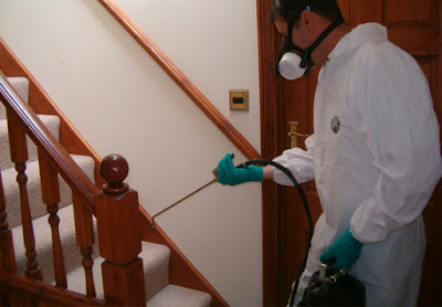 Termite prevention for renovated structures