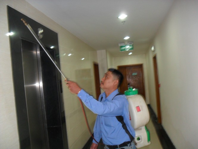 Pest control service