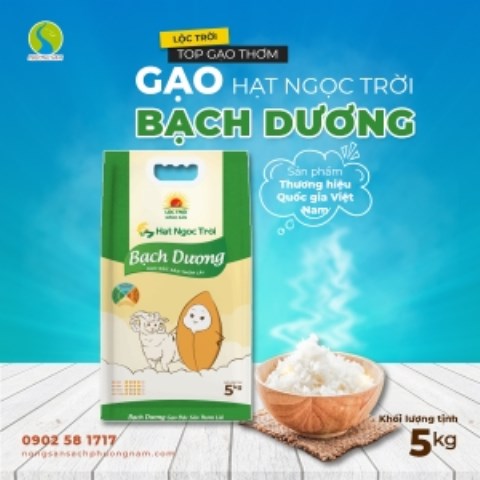 Hat Ngoc Troi Bach Duong rice