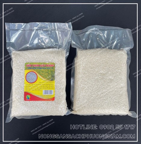 ST25 rice