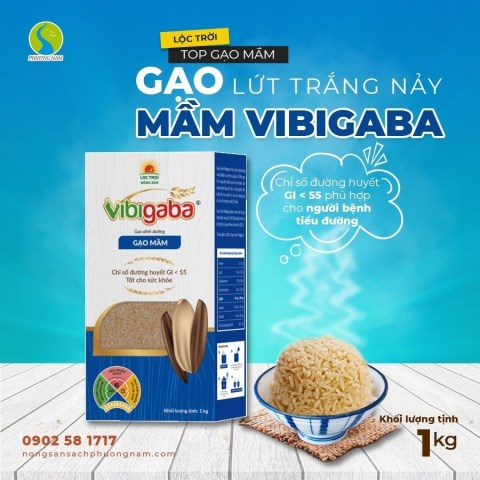 Vibigaba germinated rice