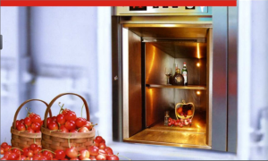 Food elevator