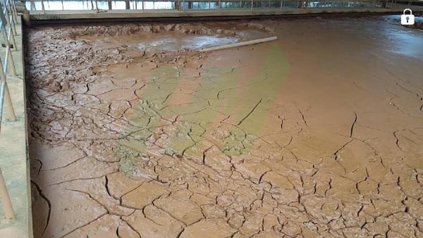 Collection, transportation and treatment of sludge