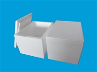 Styrofoam bucket