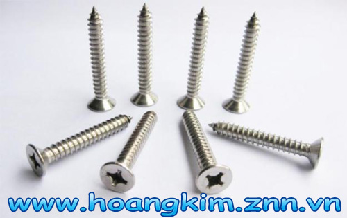 Stainless steel screw