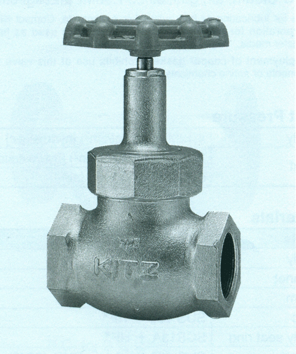Globe valve 20SDL