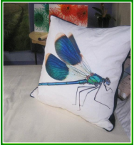 Pillow printing