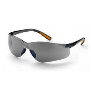 Safety Goggles