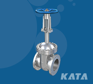 Bellows valve