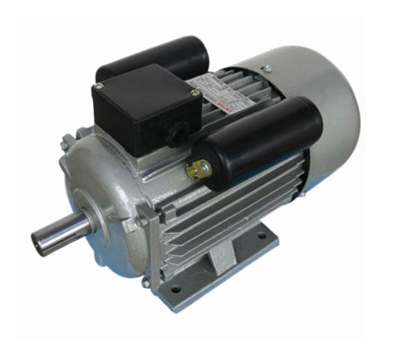 Electric motor