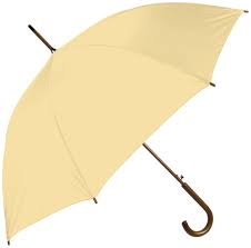 Fashion Umbrella