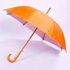 Wooden Umbrella