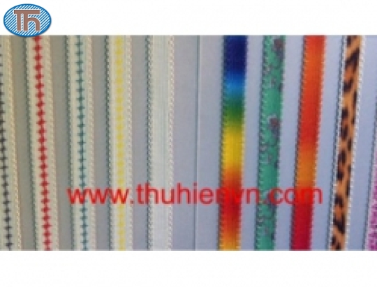 Colored elastic band
