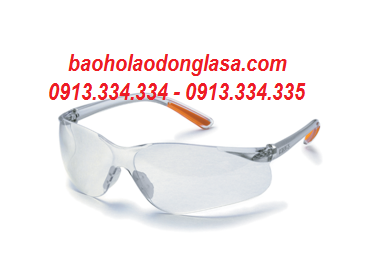 Safety Goggles