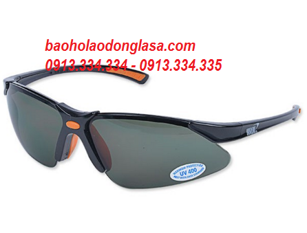 Safety Goggles