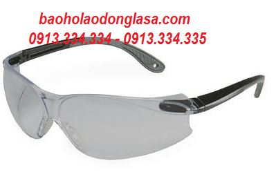 Safety Goggles