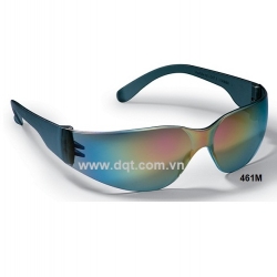 Safety Goggles