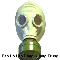 Gas mask