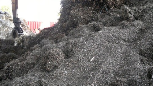 Shavings purchasing