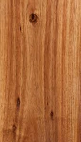 Melaleuca Wood