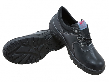 NTT low-cut shoes
