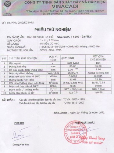 Test report