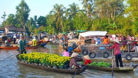 Domestic tourism