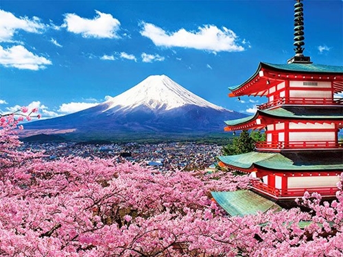 International travel