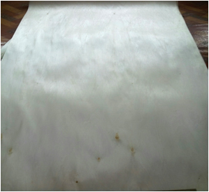 Rotary Veneer