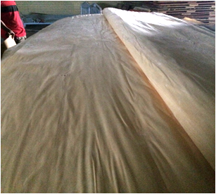 Rotary Veneer