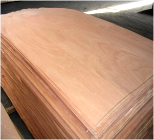 Rotary Veneer
