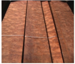 NU Veneer