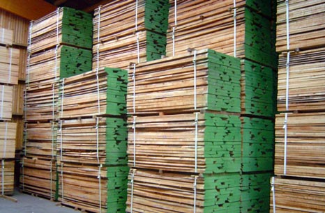 Dried wood