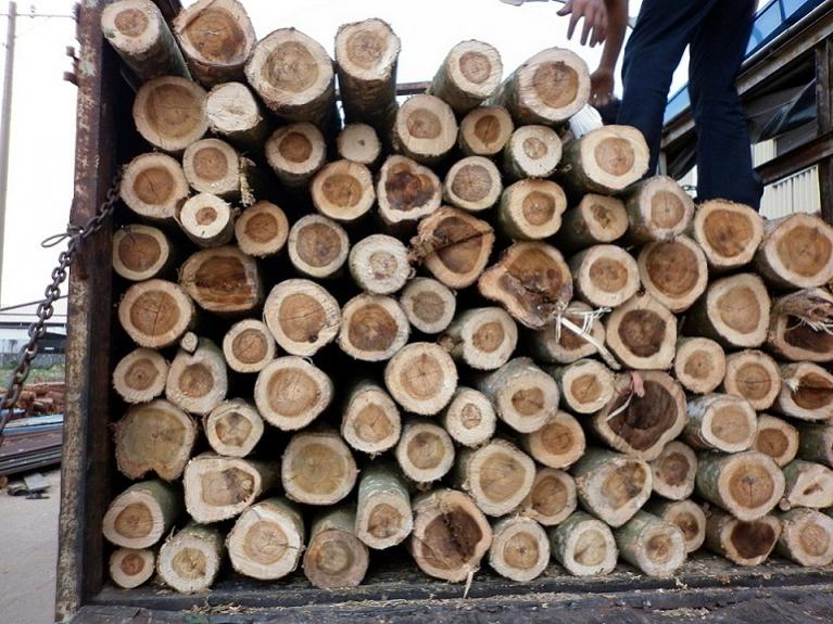 Acacia timbers